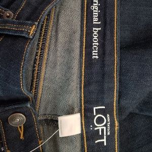 Jeans - Ann Taylor Loft 14P